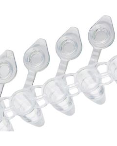 Globe Scientific Diamondlink 0.2ml 8-Str