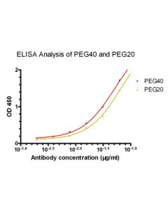 GenScript The™ Peg Antibody [Biotin], Mab, Mouse; 100ug