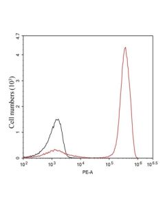GenScript Anti-Human Cd3 Ab (Okt3), Mab, Mouse; 100mg