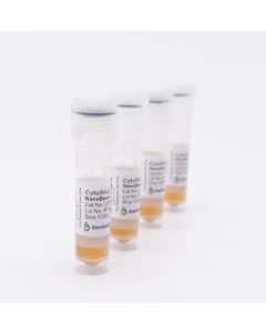 GenScript CytoSinct™ CD34 Nanobeads, human