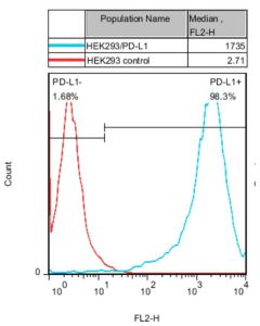 GenScript Hek293/Pd-L1 Stable Cell Line ; 2vials