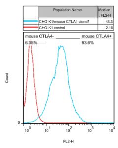 GenScript Cho-K1/Mouse Ctla4 Stable Cell Line; 2vials