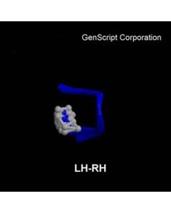 GenScript Luteinizing Hormone Releasing Hormone (Lh-Rh), Human; 5mg