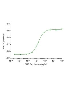 GenScript Egf Fc Chimera, Human; 1mg