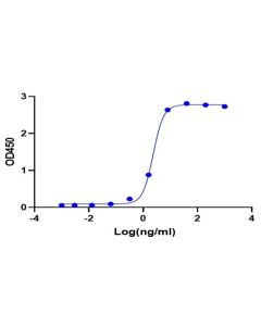 GenScript Cea Fc Chimera, Human; 50 μg