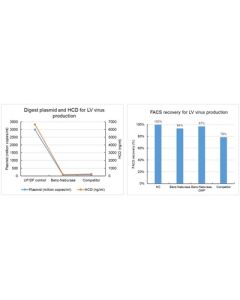 GenScript Benz-Neburase™ Gmp, His-Tag; 10kU