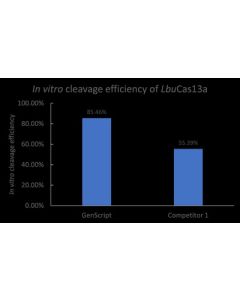 GenScript Gencrispr™ Lbucas13a Nuclease; 100ug