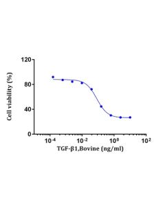 GenScript Tgfb1, Bovine; 10 μg