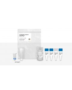 IBI Scientific Pcr Dna Frag Extraction Kit 4 Prep Sample Kit
