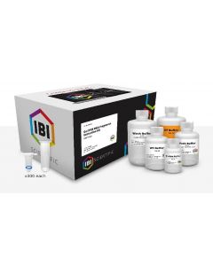 IBI Scientific Pcr Dna Frag Extraction Kit 300 Prep Kit