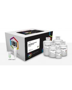 IBI Scientific Pcrsmall Frag Dna Extraction Kit - 300 Prep Kit