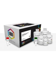 IBI Scientific Large Frag Dna Gel Extraction Kit - 300 Prep Kit