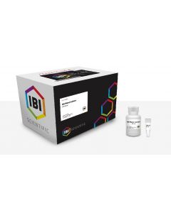 IBI Scientific IBI Plant Isolate Total Dna Kit - 100ml