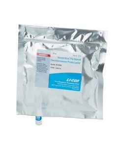 LI-COR WesternSure Pre-stained Chemiluminescent Protein Ladder