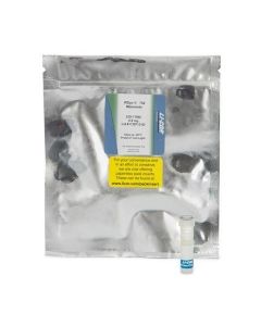 LI-COR IRDye 750 Maleimide, 0.5 mg