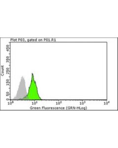 Millipore Anti-Asc Mouse Ab, 100ug, 1mg/Ml, Monoclonal, 7.4