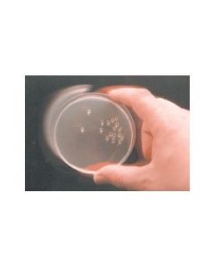 Millipore Plating Bead, 15 To 30deg C Storage Temperature