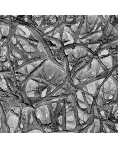 Millipore Absorbent Pad