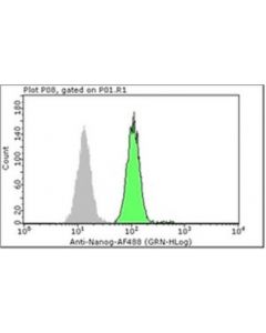 Millipore Milli-Mark Anti-Nanog-Alexa Fluor 488 Antibody, Nt