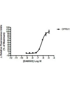 Millipore Ready-To-Assay Mu Opioid Receptor Frozen Cells