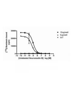 Millipore Chemiscreen Recombinant Human Bb1 Bombesin/Neuromedin B