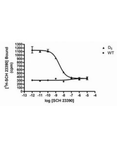 Millipore Chemiscreen D5 Dopamine Receptor Membrane Preparation