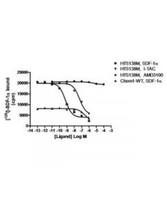Millipore Chemiscreen Membrane Preparation Recombinant Human Cxcr7