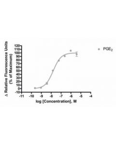 Millipore Ready-To-Assay Ep4 Prostanoid Receptor Frozen Cells