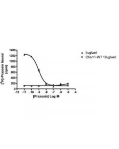 Millipore Chemiscreen Membrane Preparation Recombinant Human Alpha1b