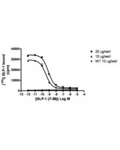 Millipore Chemiscreen Membrane Preparation Recombinant Human Glp-1