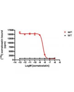 Millipore Chemiscreen Membrane Preparation Recombinant Human Sst1