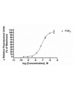 Millipore Ready-To-Assay Ep2 Prostanoid Receptor Frozen Cells