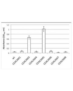 Millipore Anti-Ceacam3/5 Antibody, Clone 308/3-3