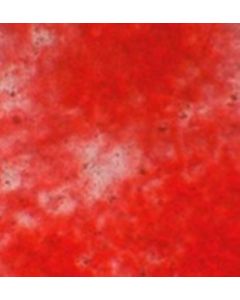 Millipore Mesenchymal Stem Cell Osteogenesis Kit