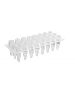 Corning Axygen 24 Well Polypropylene PCR Microplate, Clear, Nonsterile, 50/CS