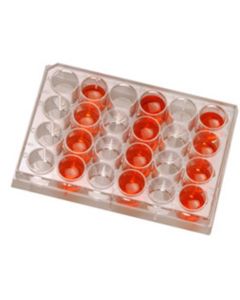 RPI Cell CuLture Plates, 24 Well, 50 Per Case