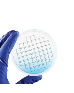 RPI Petristicker, 50 Square Grid, 3 Inch Diameter, 36 Per Package