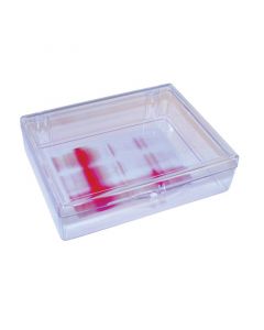 RPI Mini-Blotting Containers, 11.5 X 8.9 X 2.2cm, Clear, 6 Per Case