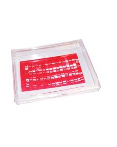 RPI Mini-Blotting Containers, 20.5 X 15.9 X 2.5cm, Clear, 4 Per Case