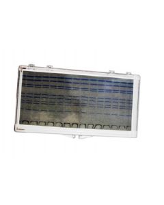 RPI Mini-Blotting Containers, 17.15 X 8.9 X 2.0cm, Clear, 4 Per Case