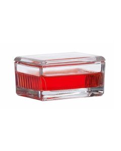 RPI Staining Dish With Cover, Mini