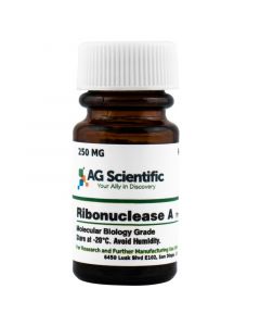 AG Scientific RNase A, 250 MG