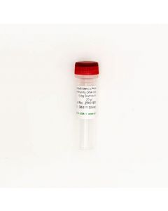 RPI Zymobiomics Microbial Community Standard Ii (Log Distribution), Isolated Dna, 220 Ng