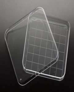 Simport Petri Dish 100x100x15mmW/Grid, 500/CS