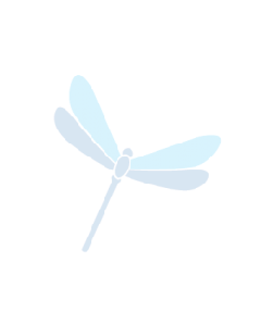 Tonbo Purified Anti-Mouse Cd3 (17a2); 25 µg