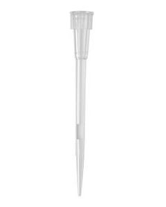 Axygen_TXLF-10-L-R-S_HR.jpg