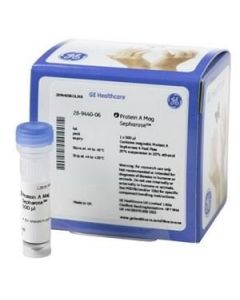 Cytiva Protein A Mag Sepharose , 1 x 500uL, 37 to 100um Particle size, 8mg human IgG mL gel Binding