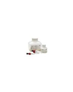 Cytiva Capto Q, 25ml, 90um Particle Size, Highly Cross Linked Agarose DeXTran Matrix, Quaternary