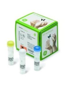 Cytiva illustra TempliPhi Sequence Resolver Kit illustra TempliPhi Sequence Resolver Kit uses the highly