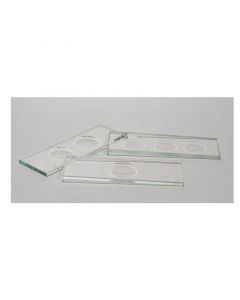 United Scientific Thick Concavity Slides, Glass, 2 Concavities, 75mm X 25mm, Pack Of 12